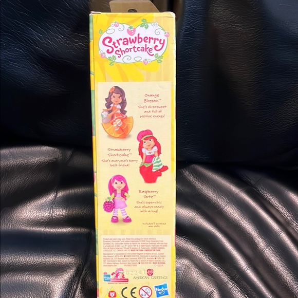 Strawberry Shortcake Doll Set - Picture 5 of 5